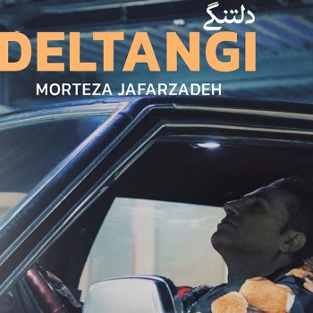 دانلود آهنگ دلتنگی از مرتضی جعفرزاده