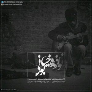 دانلود آهنگ احمدرضا شهریاری (احمد سلو) نوازنده خیابونی