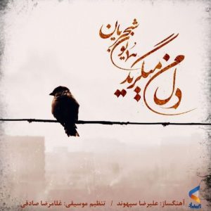 دانلود آهنگ همایون شجریان دل من میگرید