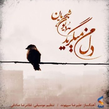 دانلود آهنگ همایون شجریان دل من میگرید