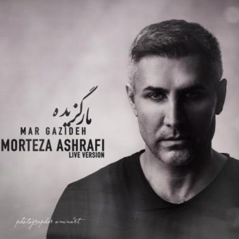 دانلود آهنگ مرتضی اشرفی مار گزیده (اجرای زنده)