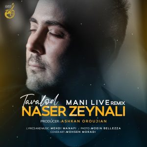 دانلود آهنگ ناصر زینعلی تولد (ریمیکس)
