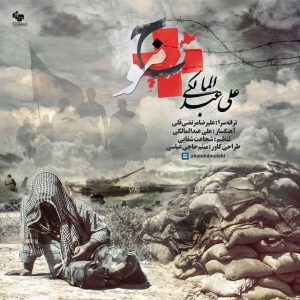 دانلود آهنگ علی عبدالمالکی موجی