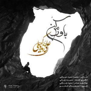 دانلود آهنگ علی زندوکیلی باورم کن
