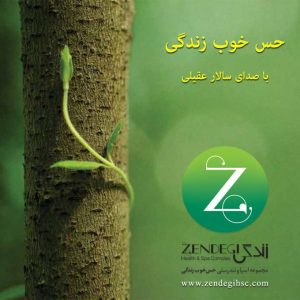 دانلود آهنگ سالار عقیلی حس خوبه زندگی