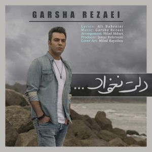 دانلود آهنگ گرشا رضایی دلت نخواد